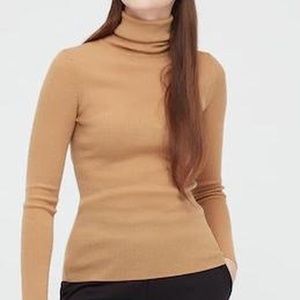 Merino Wool Turtle neck